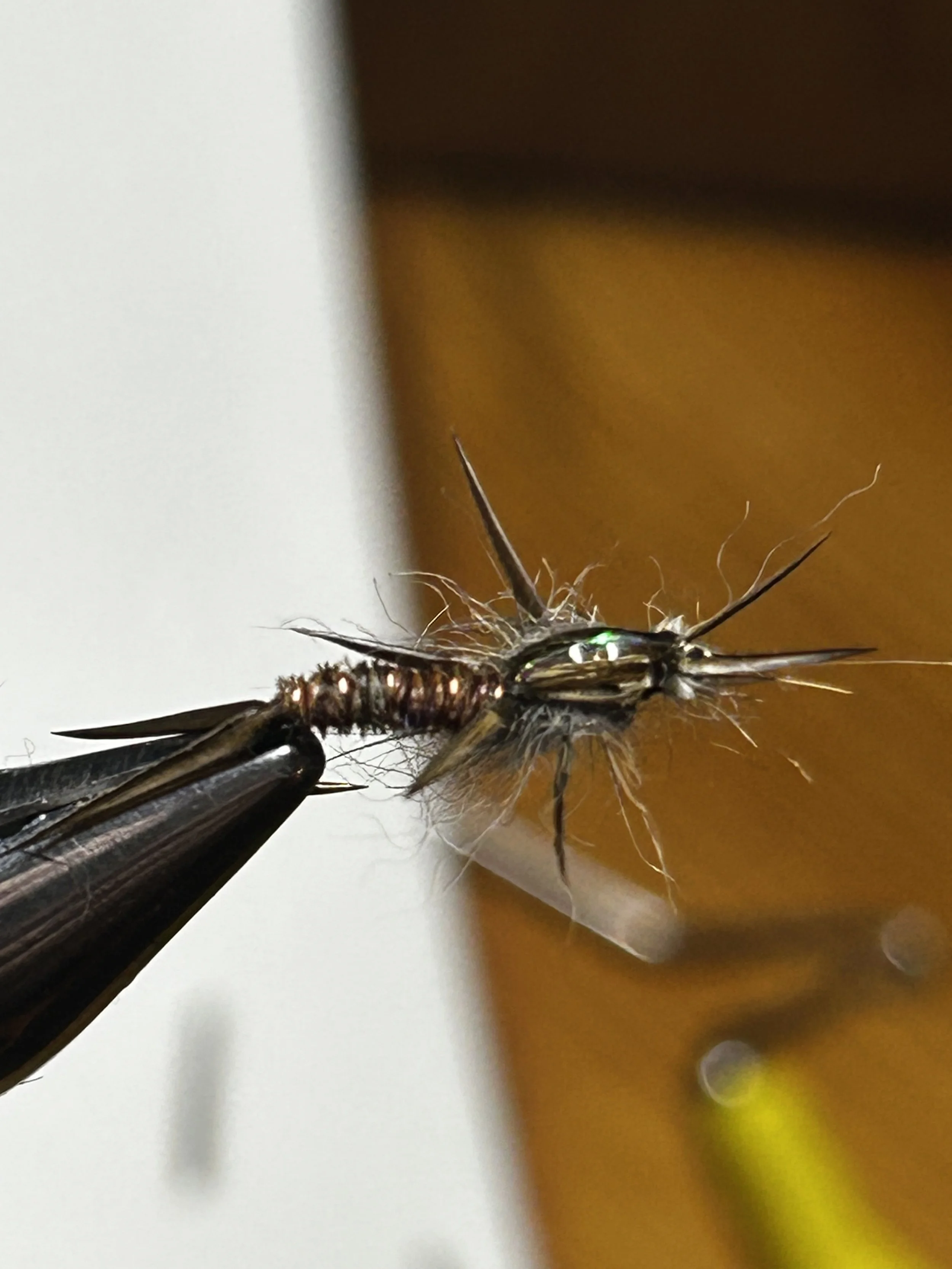 Swimming Pheasant Tail Nymph