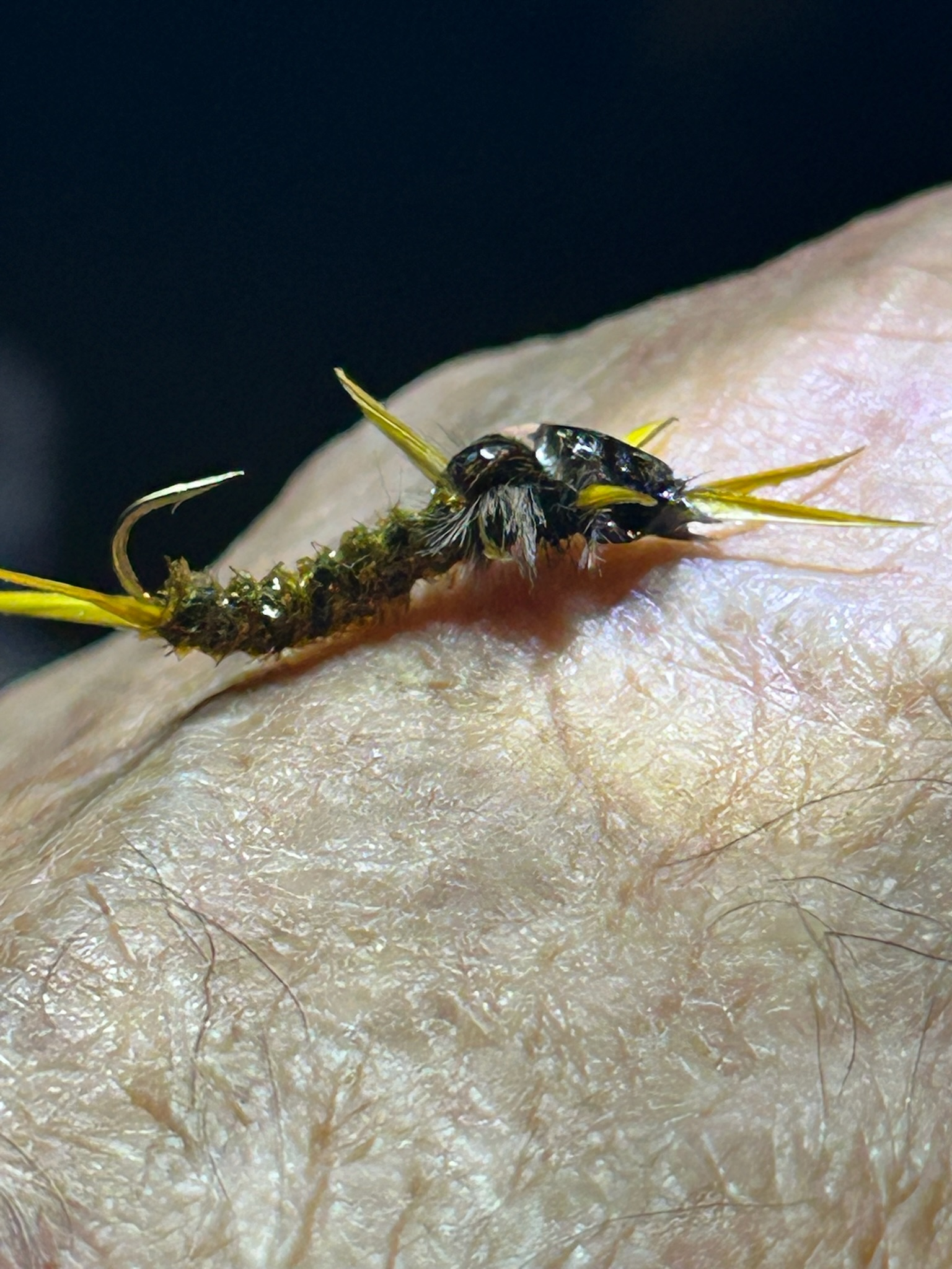 Close-up of a tiny insect on a person's skin, with a moss-covered tail and several yellowish antennae or legs.