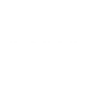 Feiyue_Logo_square-300x300.png