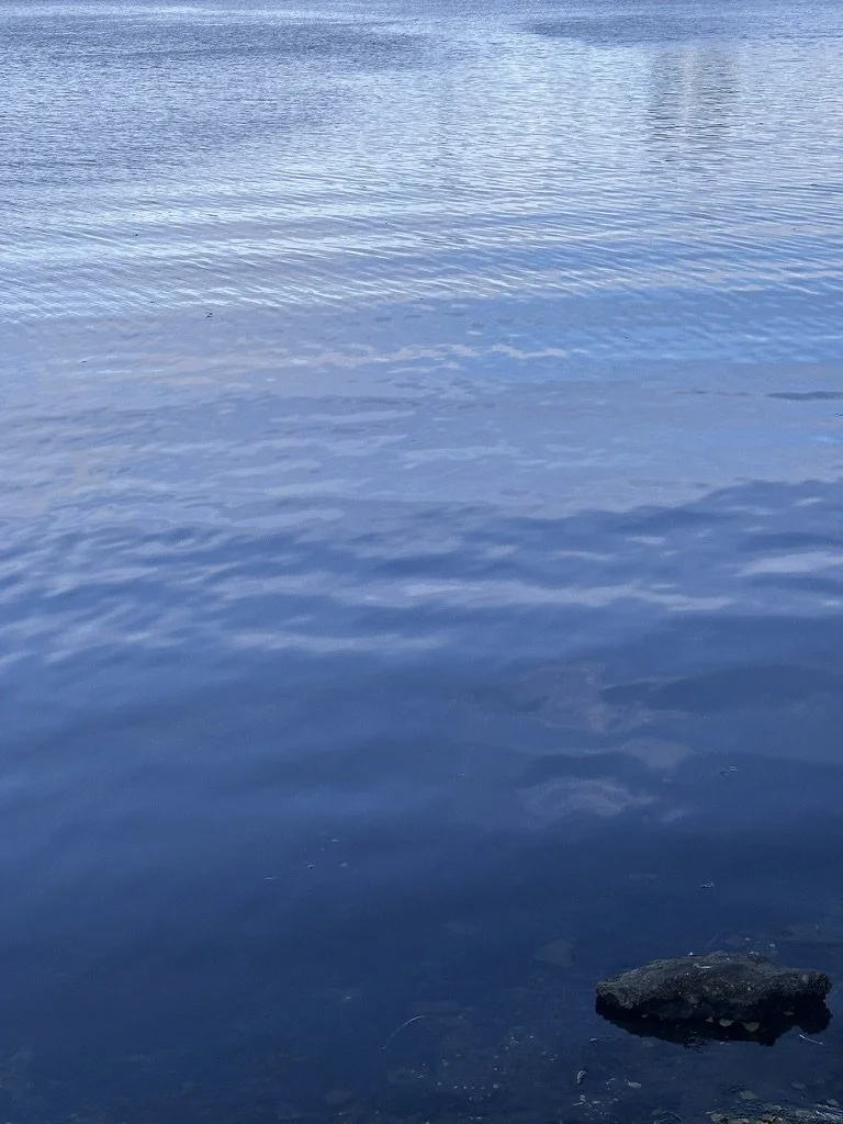 10434A74-B321-4AA1-AB38-81E0B5C000C4_1_105_c.jpeg