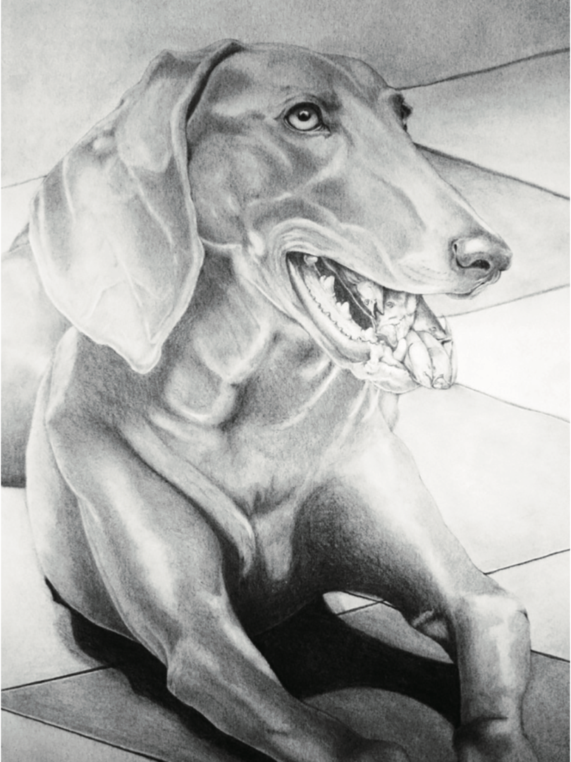 Pencil on Paper 2009