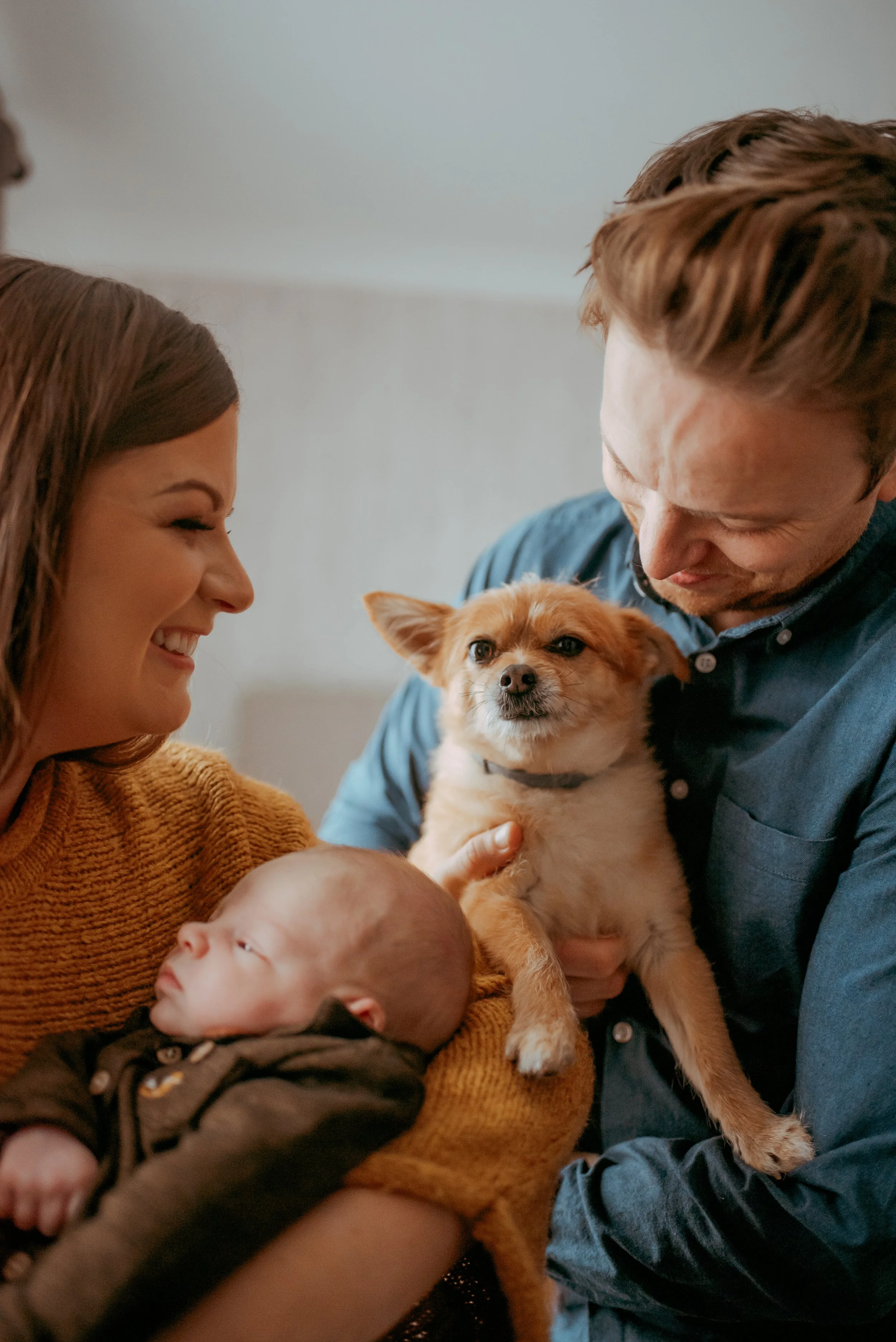 A smiling woman holding a baby, looking at a small dog held by a man. The dog is looking at the camera.