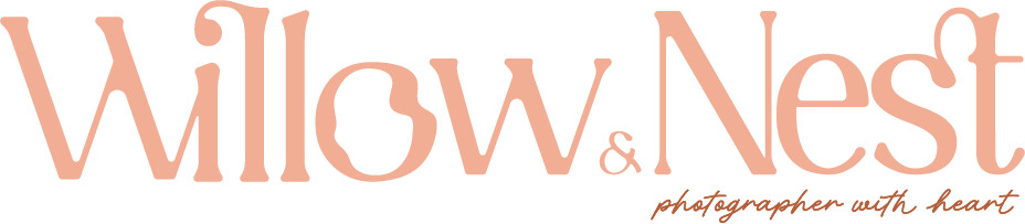 Willow and Nest Photography