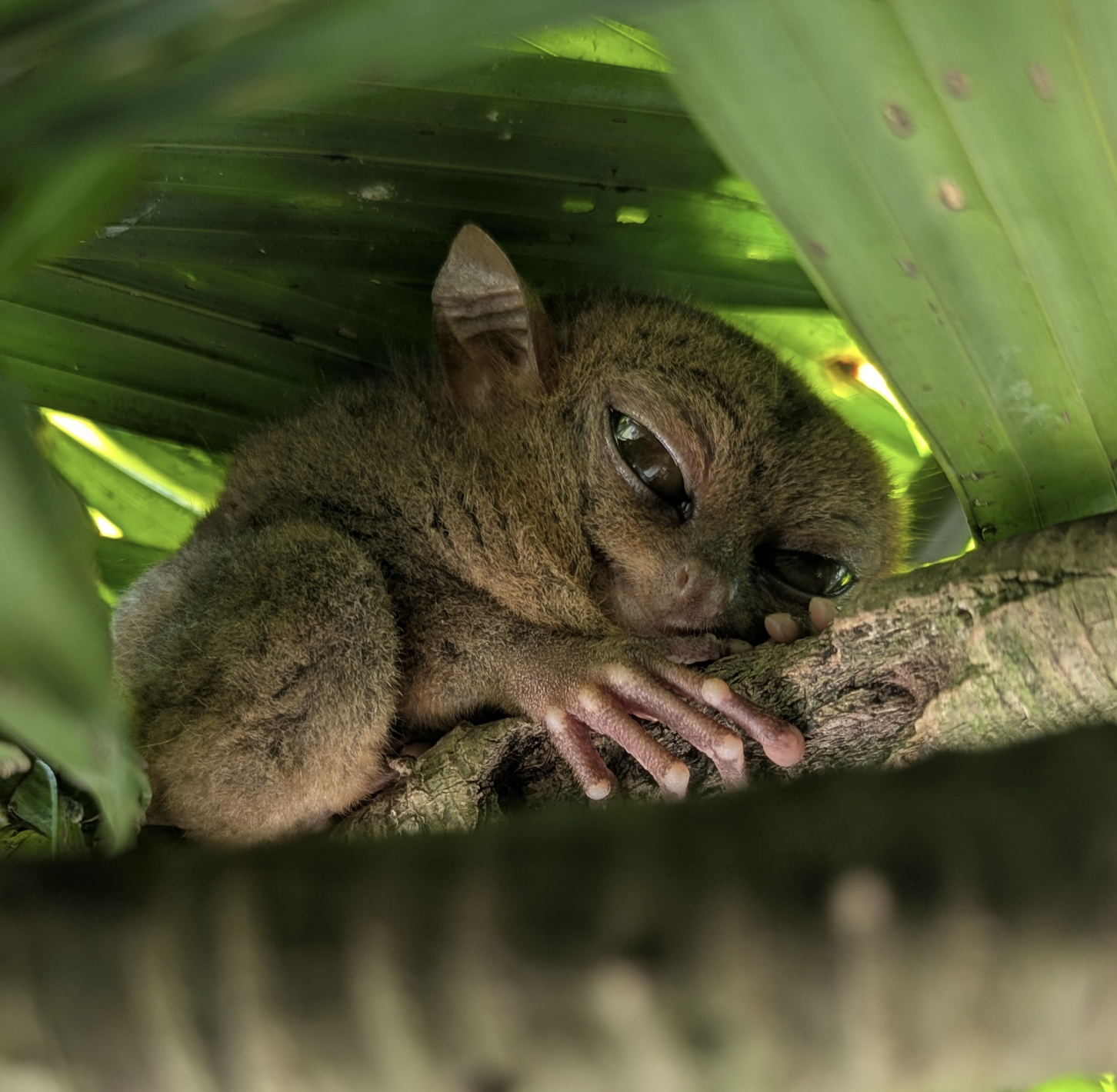 Screenshot 2026-01-01 at 17.45.39.png