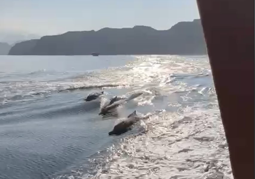 Screenshot 2026-01-01 at 18.45.56.png