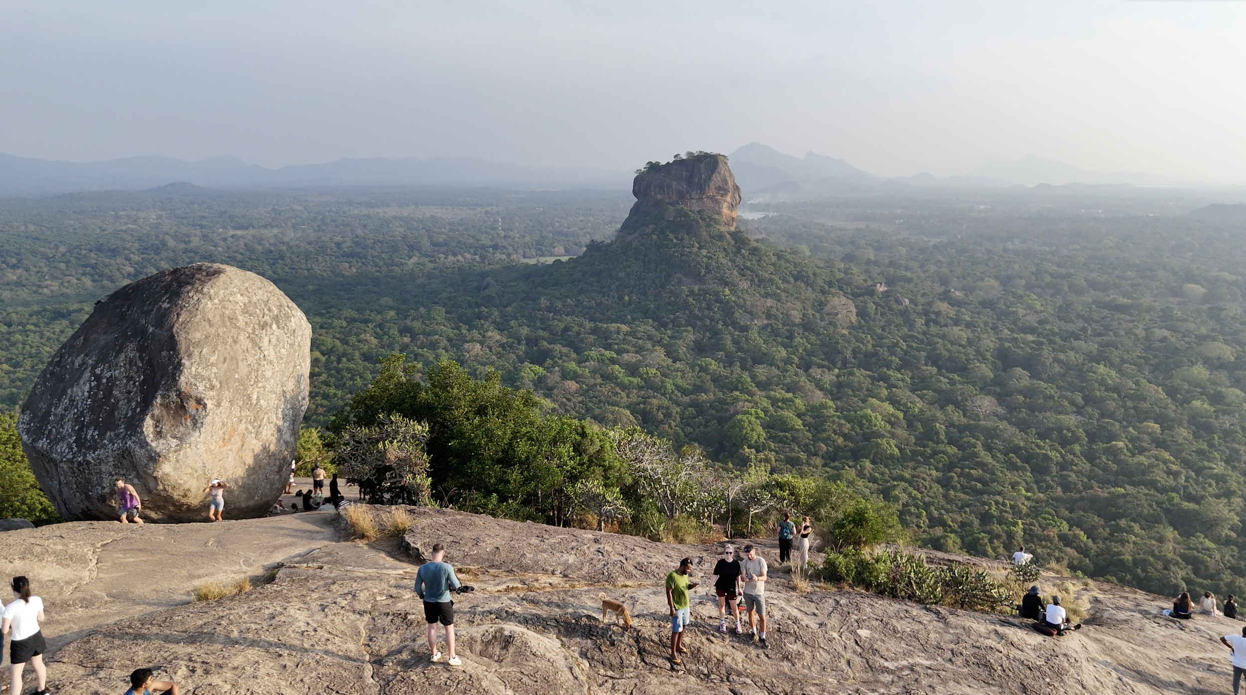 Screenshot 2024-07-06 at 14.44.06.png