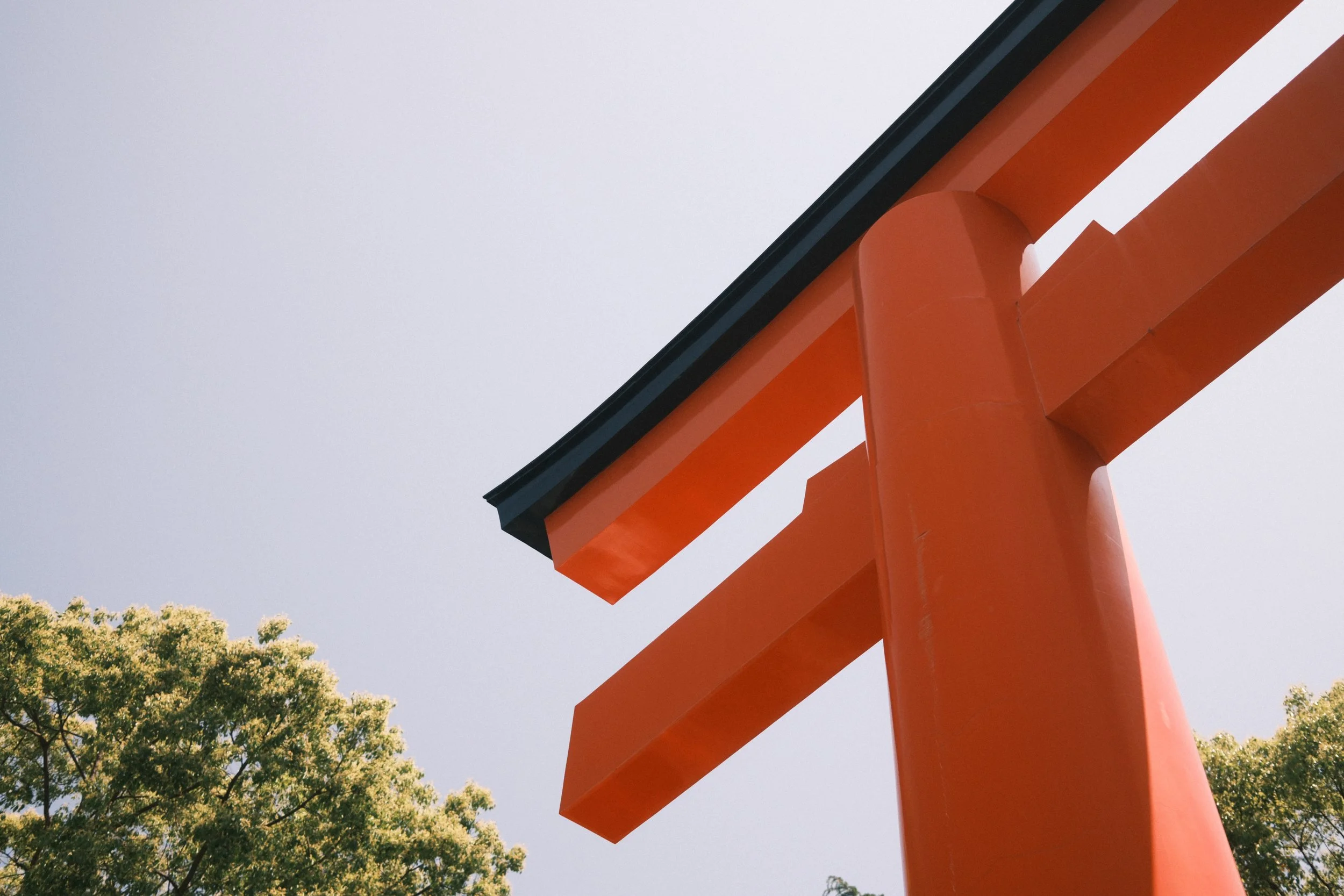 Torii Gates
