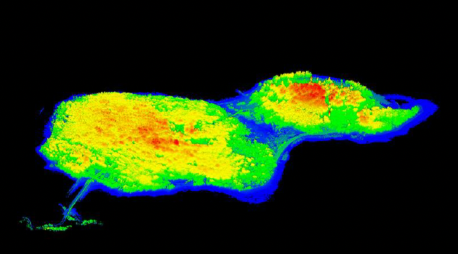 Topographic Survey - 160 Acres