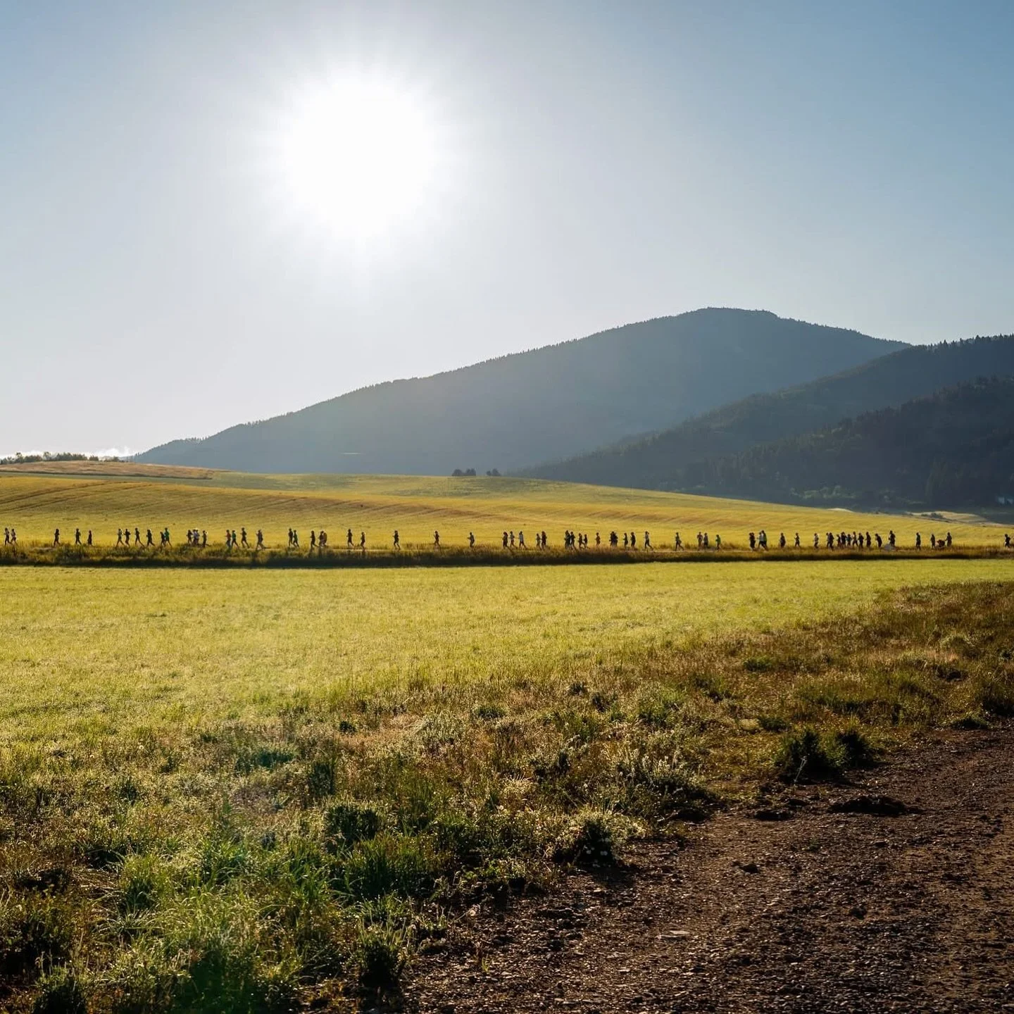 A large open field with a line of people walking in a single file across the landscape, with mountains in the background and the sun shining brightly overhead in Bozeman, Montana