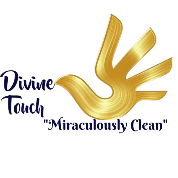 Logo of Divine Touch, a cleaning service, featuring a stylized gold hand with blue accents and the company name in dark blue text.