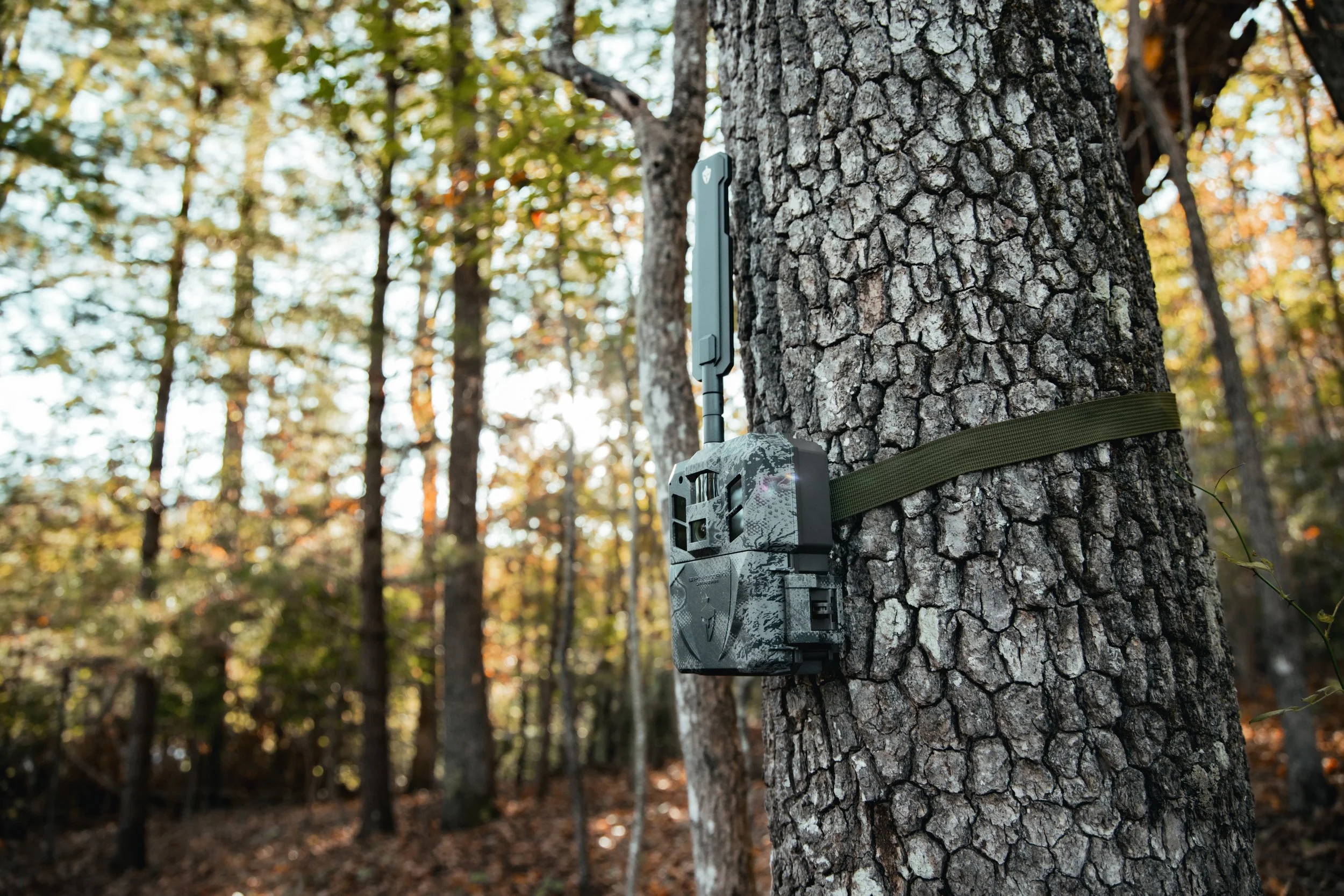 My cellular trail camera of choice!