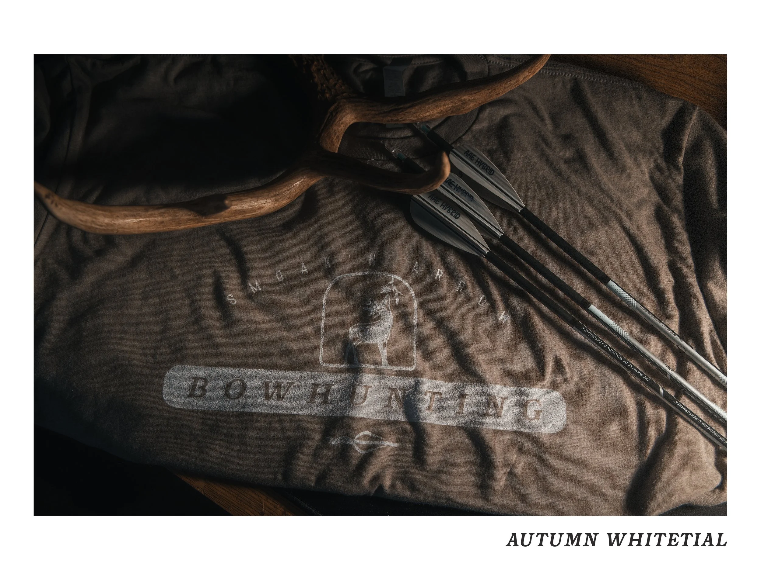 2026 Fall Collection - Tshirt launchArtboard 4.jpg