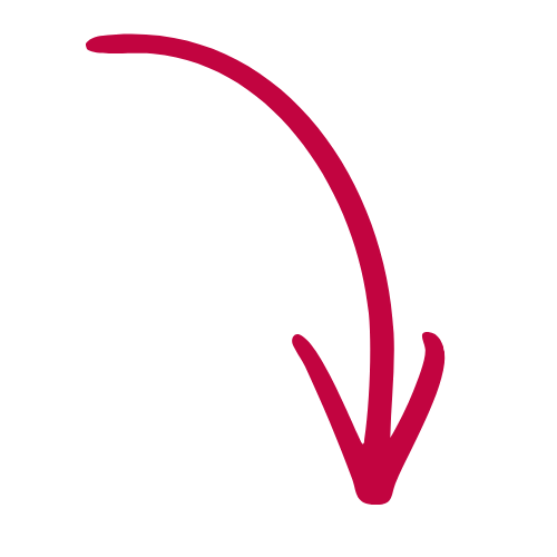 A black illustration of a bear's face with pink arrow pointing downward from the top of its head.