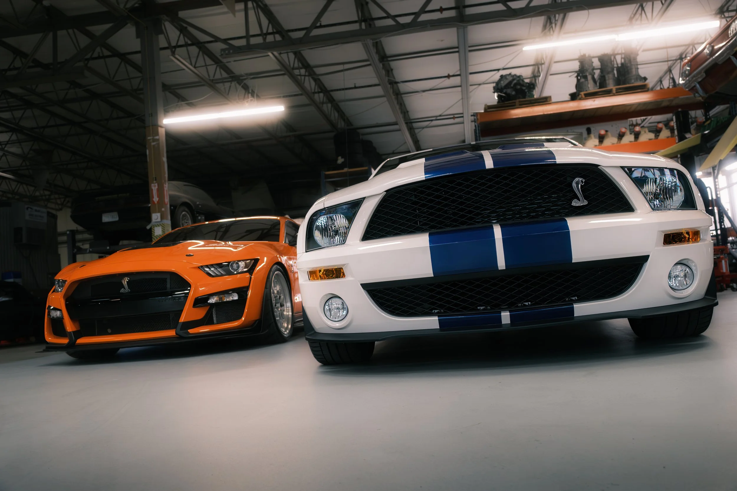 Two Ford Shelby Mustangs, one orange with black accents and one white with blue racing stripes, parked inside a garage or workshop.