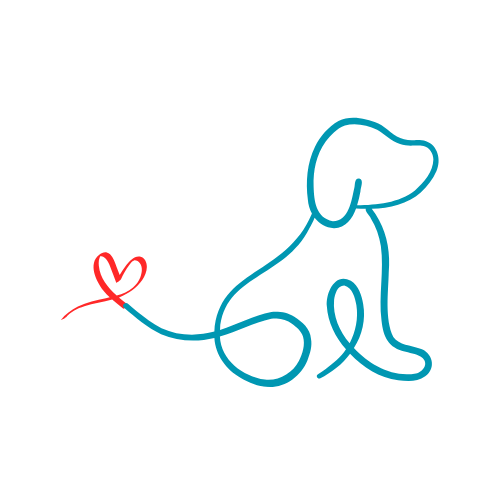 Dariia Hainz - Together Unleashed