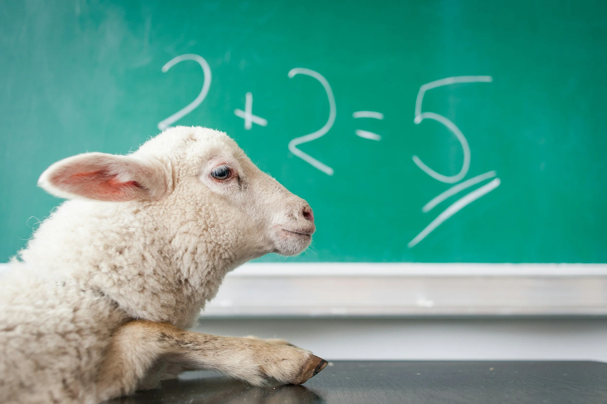 The Lesson I Didn't Plan to Teach