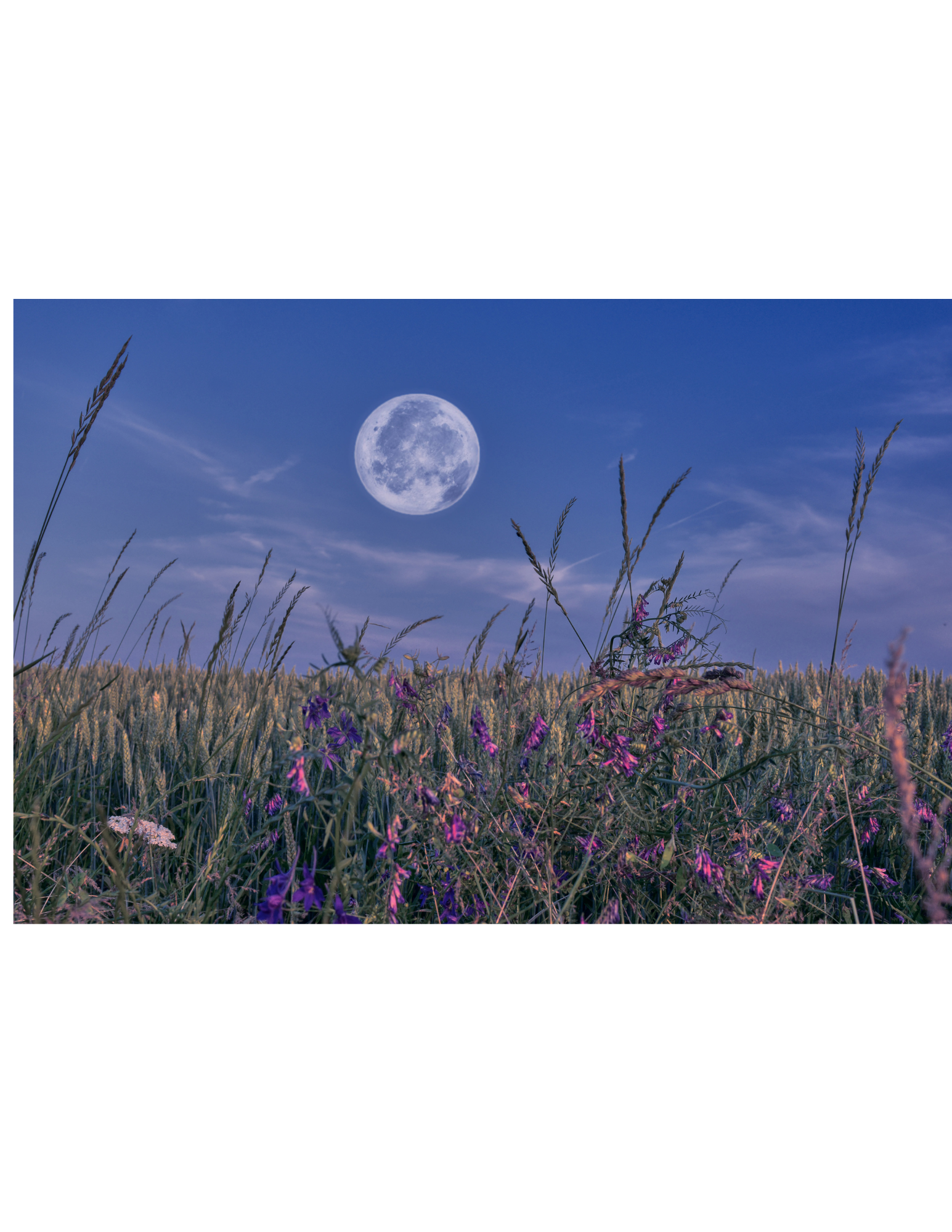 Rooted Words: Selenophile~ Love of the Moon