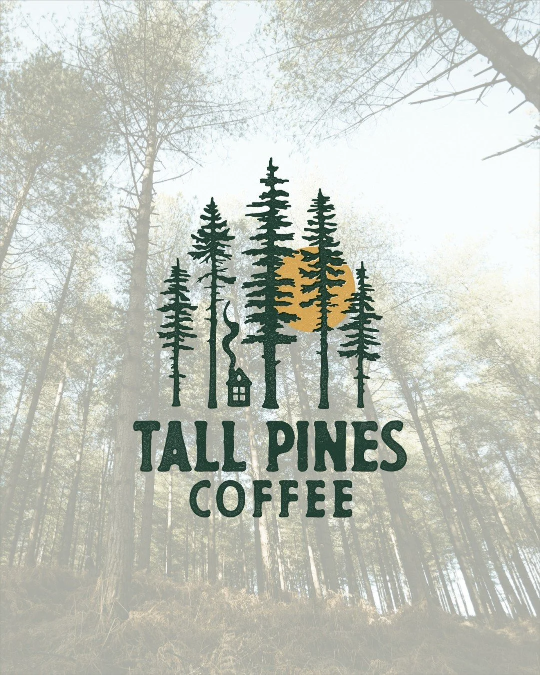 Visual identity refinement for Tall Pines Coffee ⚙︎ Small batch coffee rooted in craft and sense of place.

What started as just a web design project turned into a full brand refresh. This is pretty common as we dive into website strategy and moodboa