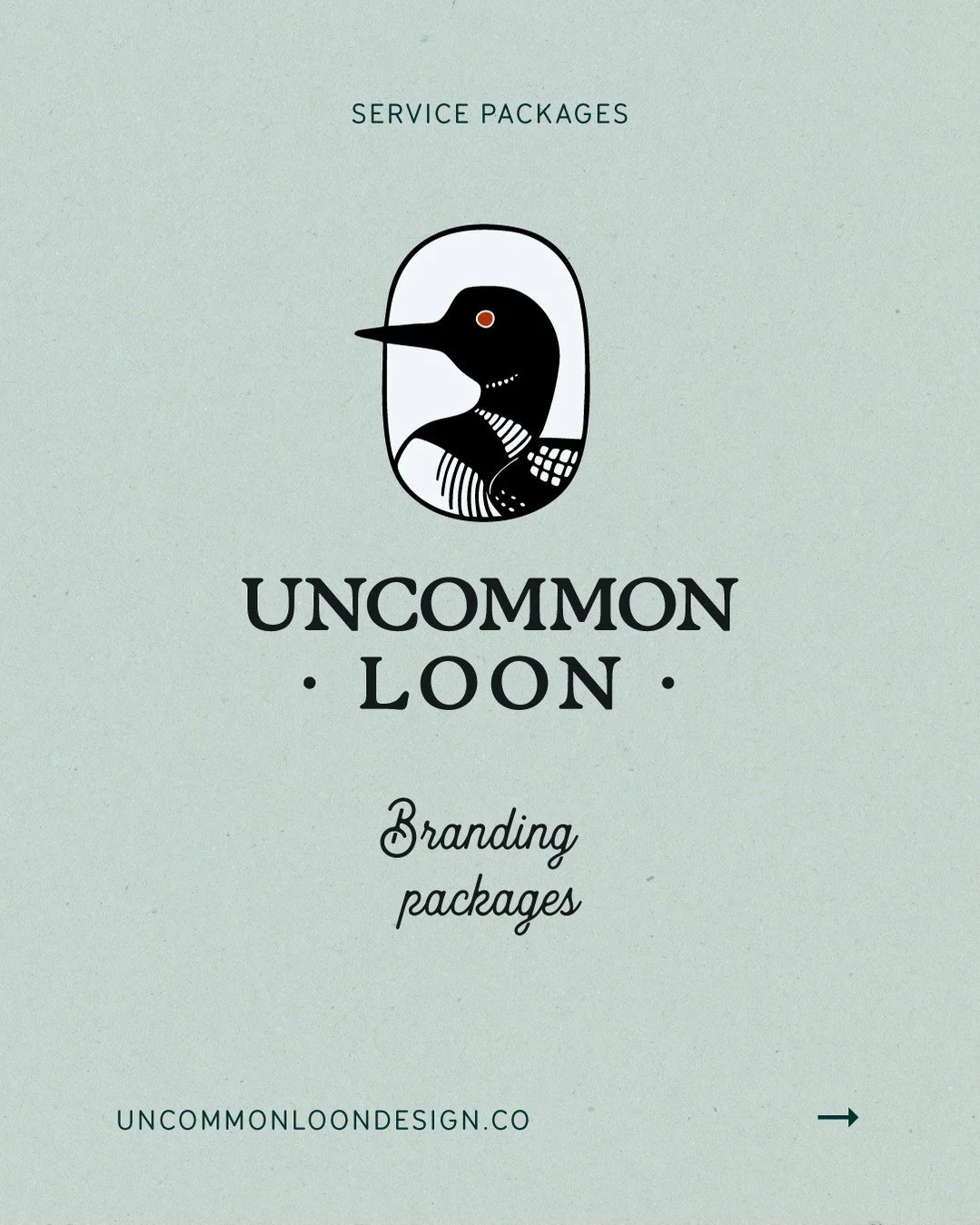 Whether you're just getting started with a tight budget, or need a comprehensive brand identity to unite a team, Uncommon Loon Design Co. meets you right where you are.

Each package is named after a loon call. Each call carries a different message.
