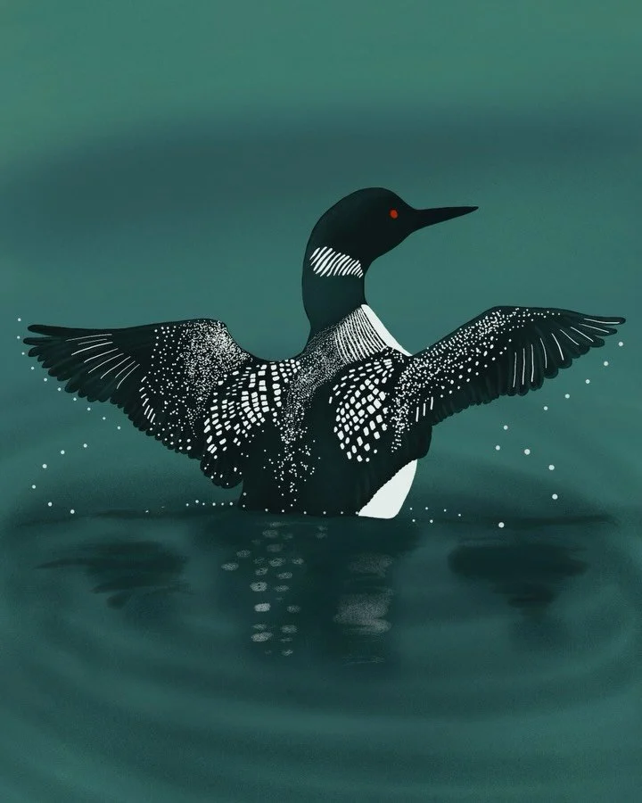 ICE OUT - RELIEF IN
MIGRATION IS AN EARTHLY RIGHT

There has been a movement of art inspired by the Common Loon, an iconic symbol of Maine and the state bird of Minnesota. 

We are selling common loon stickers and digital art to support human rights,