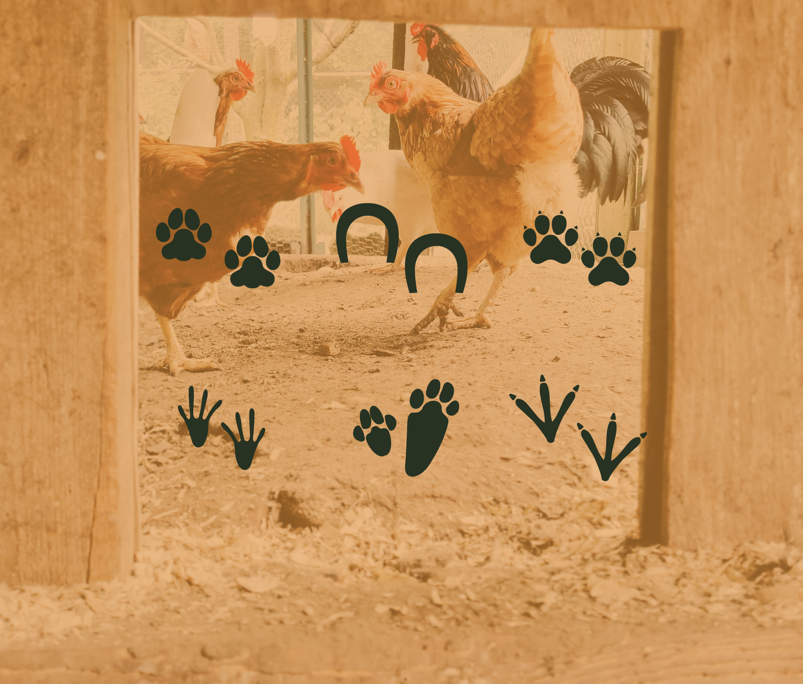 uncommonloon-critterfolk_Artboard 8.png