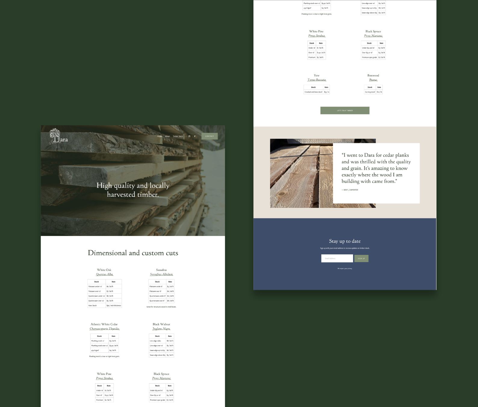 uncommonloon_dara_Artboard 10.png