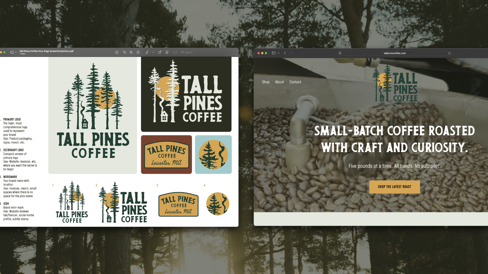Tall Pines Coffee