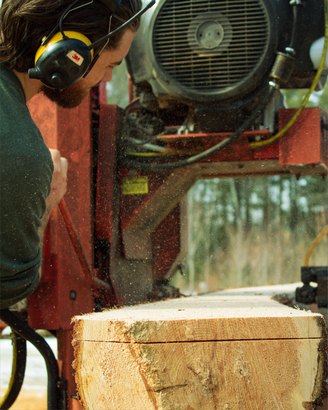 uncommonloon_dara_Artboard 3.png