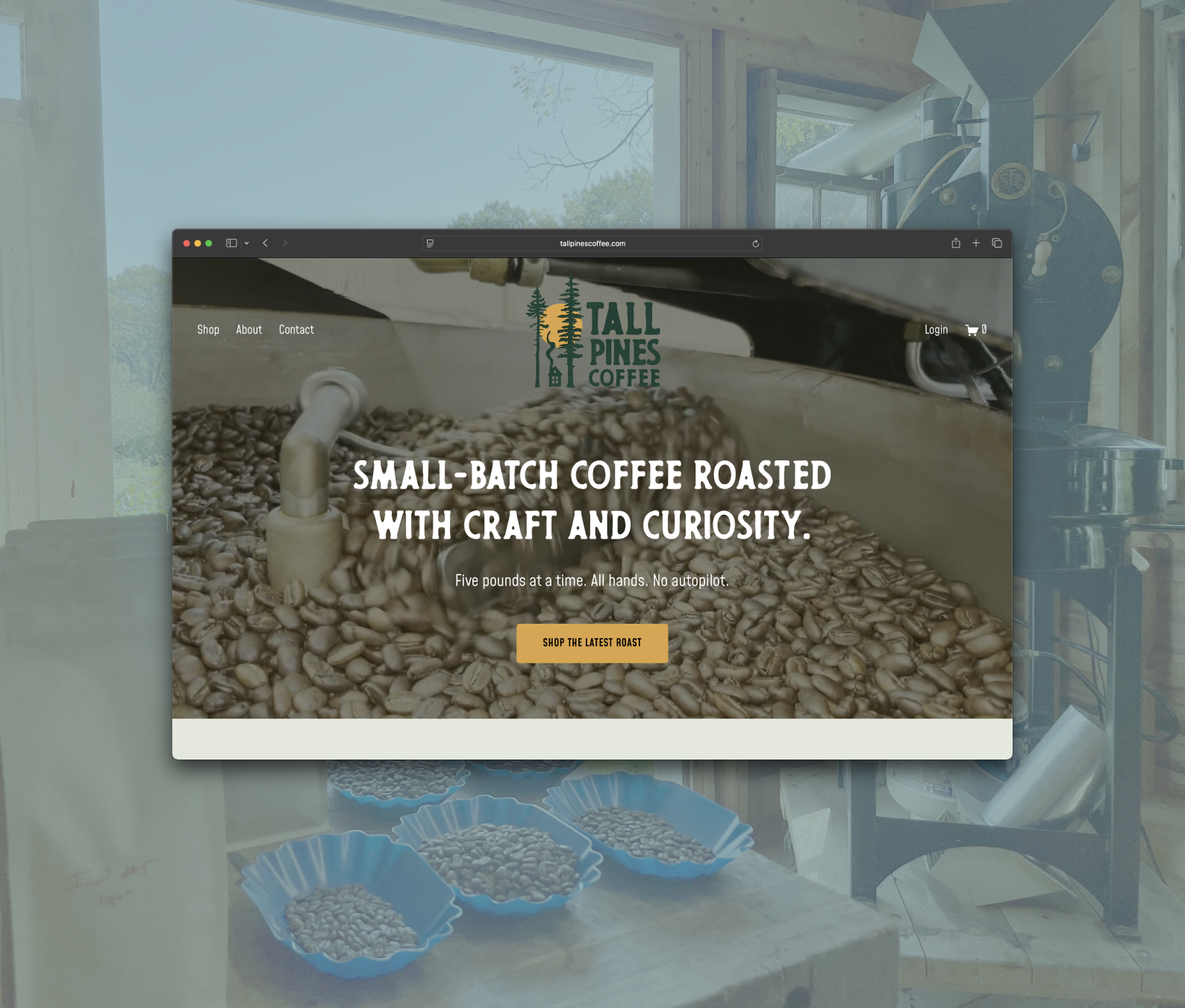 uncommonloon-tallpines_Artboard 6.png