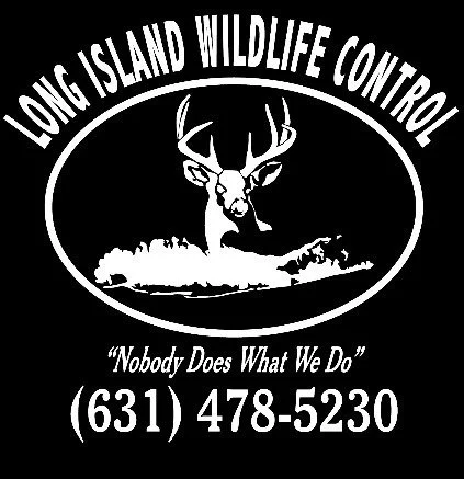 Long Island Wildlife Control logo featuring a deer inside an oval with contact information and a quote.