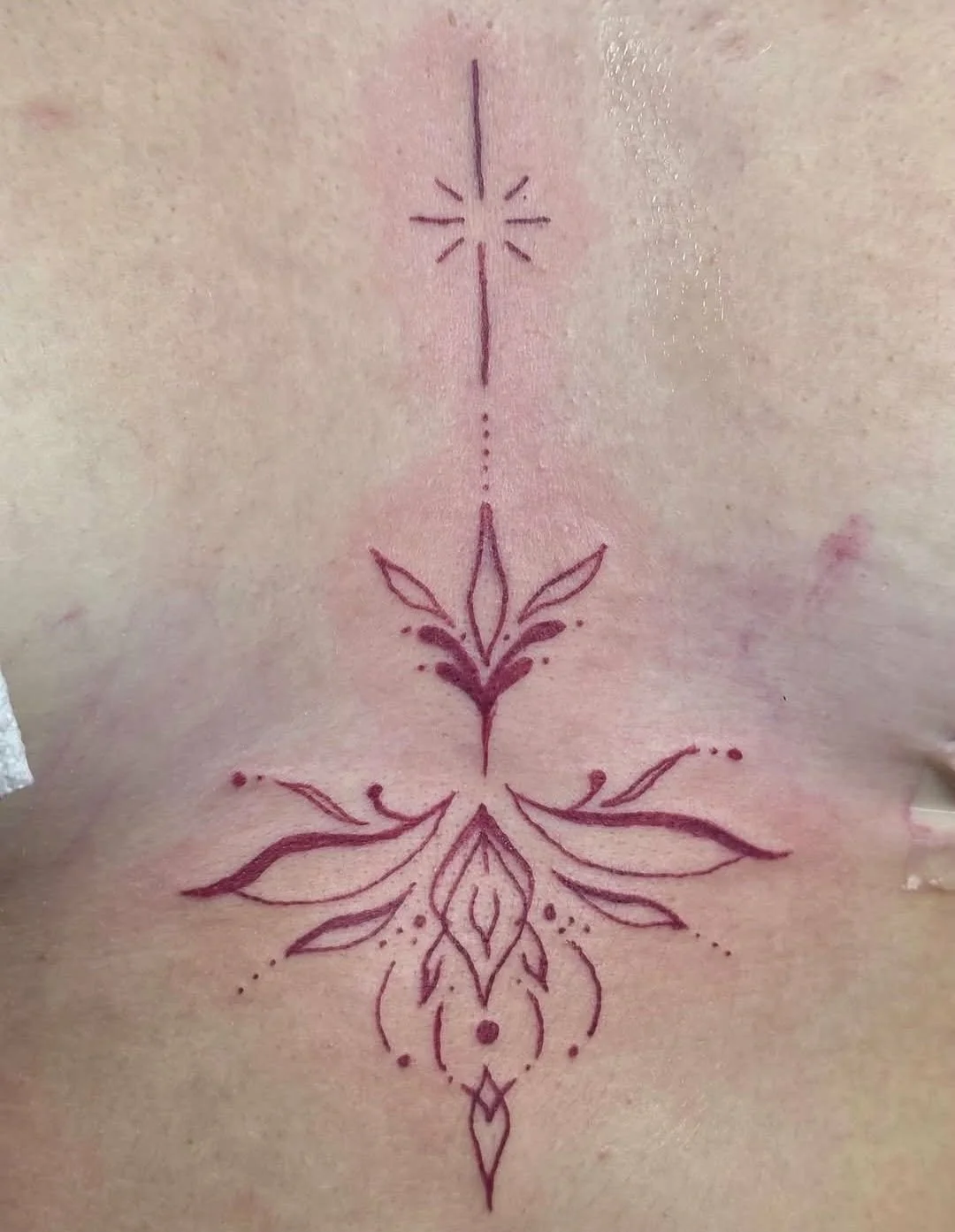 att.0GAH0Z-risVEgNjH_vl5UdBZnzBRzSqYMpQHn2riunM 2.JPG