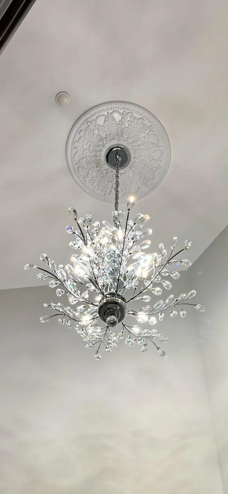 Elegant chandelier with crystal accents hanging from a decorative ceiling medallion.