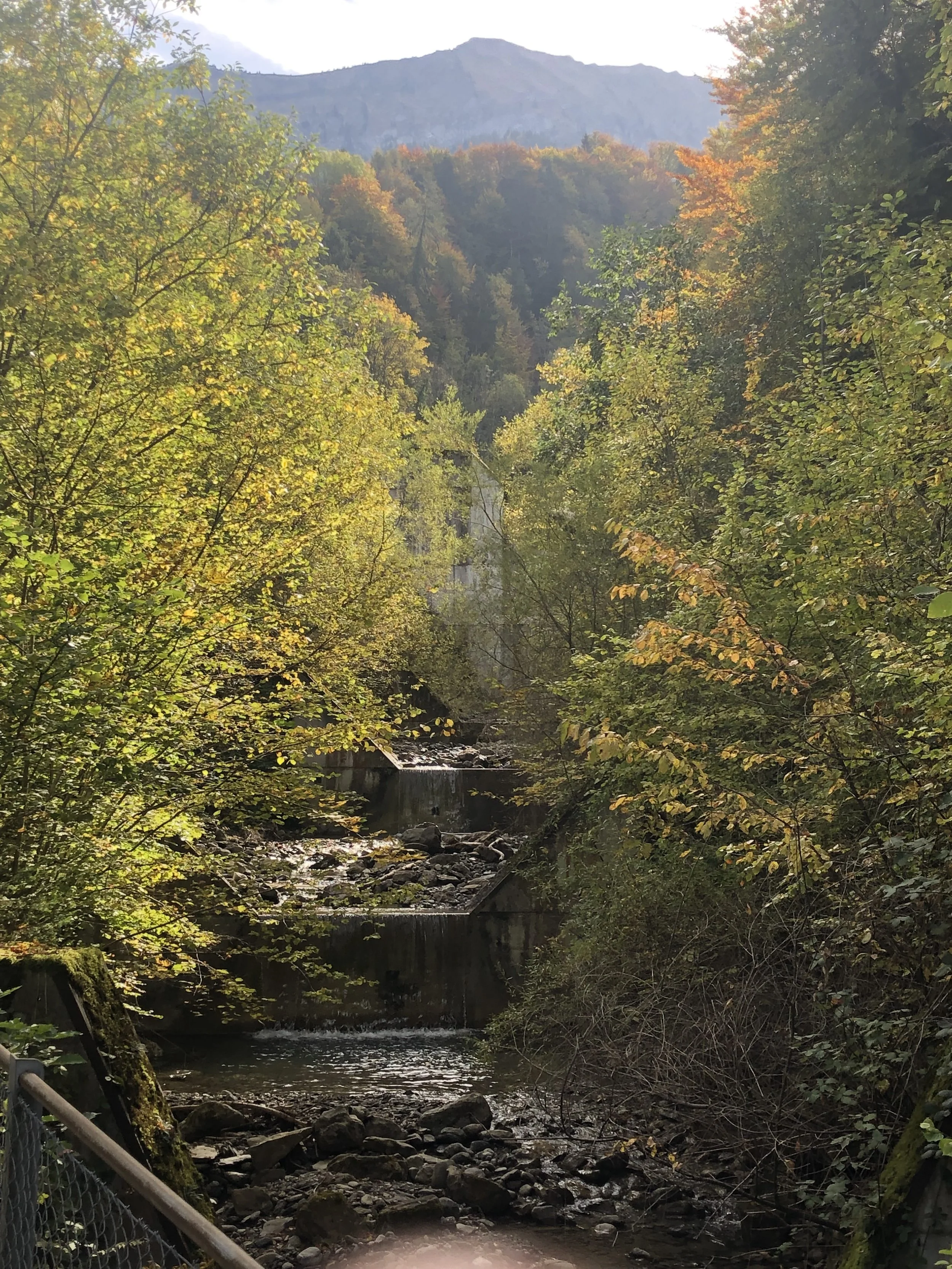 A tranquil forest scene with a small waterfall and stream, surrounded by trees with autumn-colored leaves, mountains in the background, and a metal fence in the foreground.