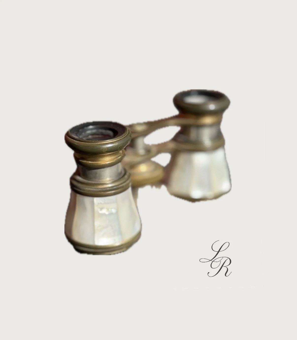 IMG_8855.jpeg