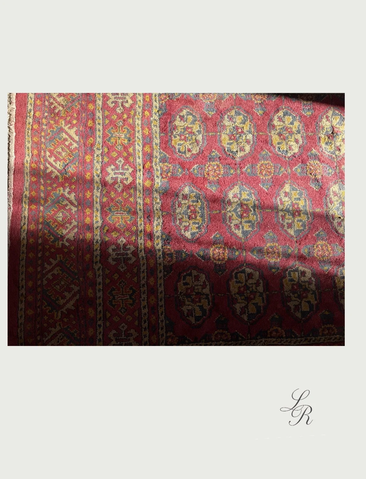 IMG_1326.jpeg