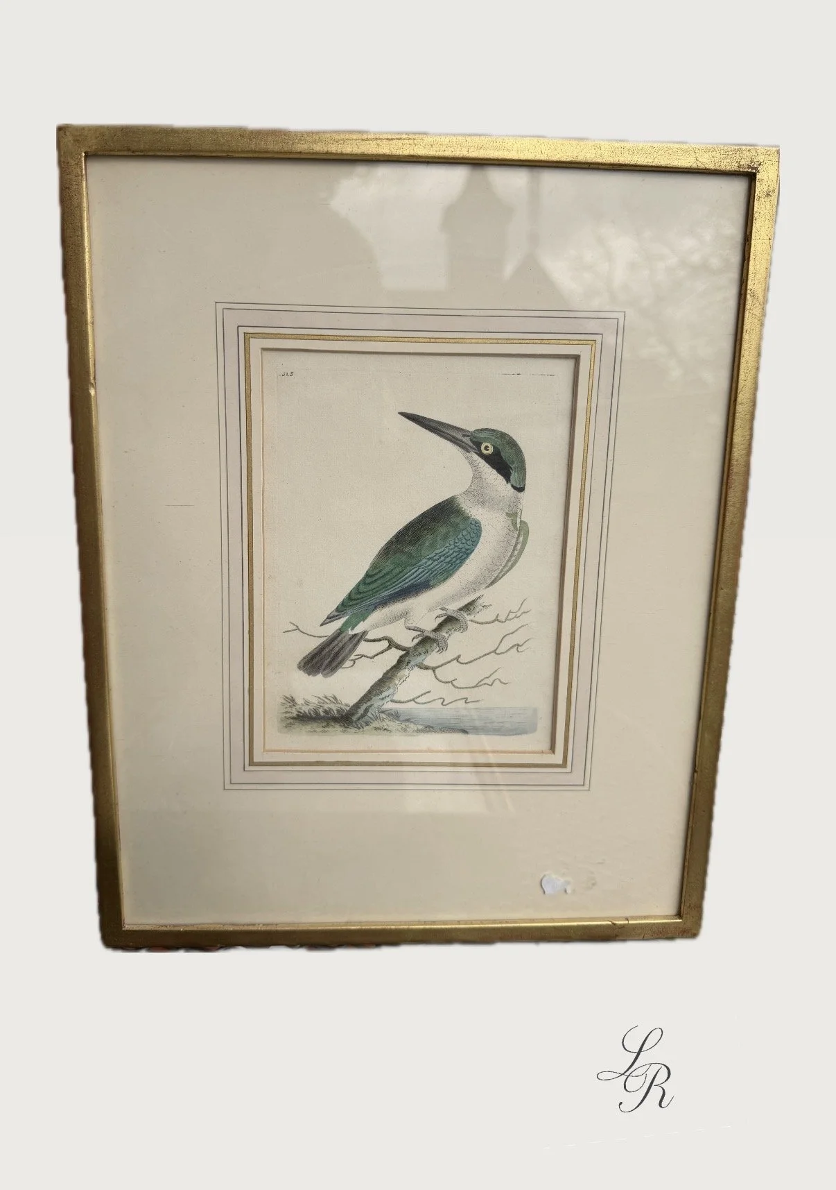 Kingfisher Book Plate 1802