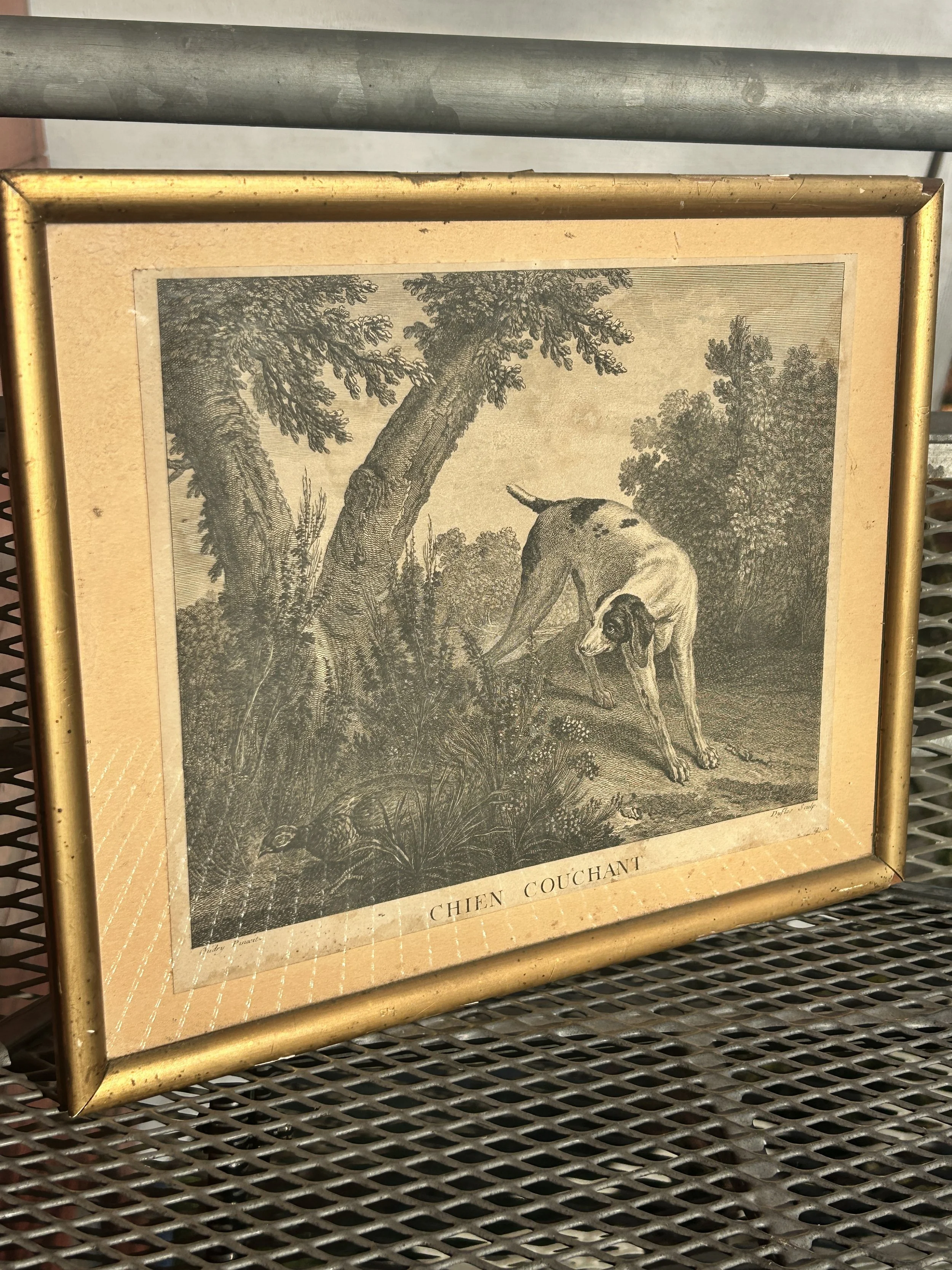 Antique Chien Couchant Copper Engraving by Duflos