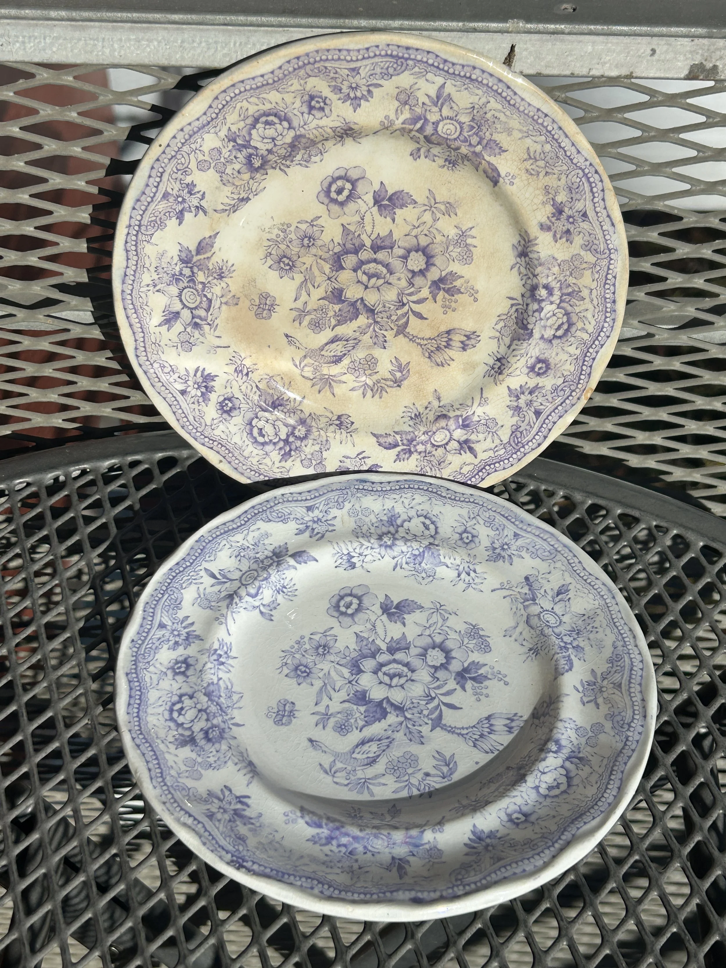 2-Antique Sweden Purple Asiatic Pheasant Ironstone Plates