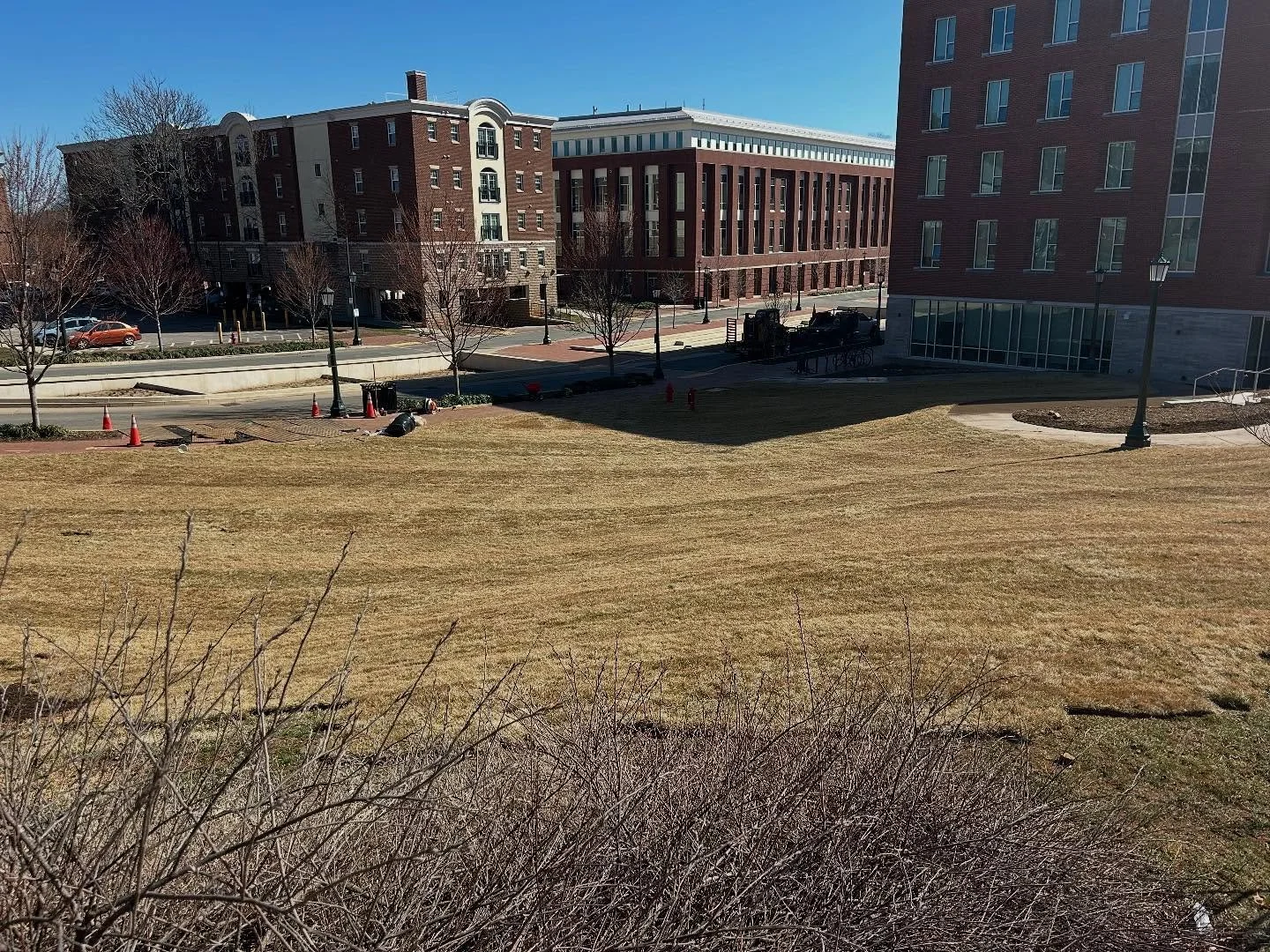 A view of a grassy area with some dry shrubs in the foreground, concrete walkways, and several leafless trees lined up along the sidewalk. In the background, there are multi-story brick buildings and a few cars parked along the street. The sky is cle