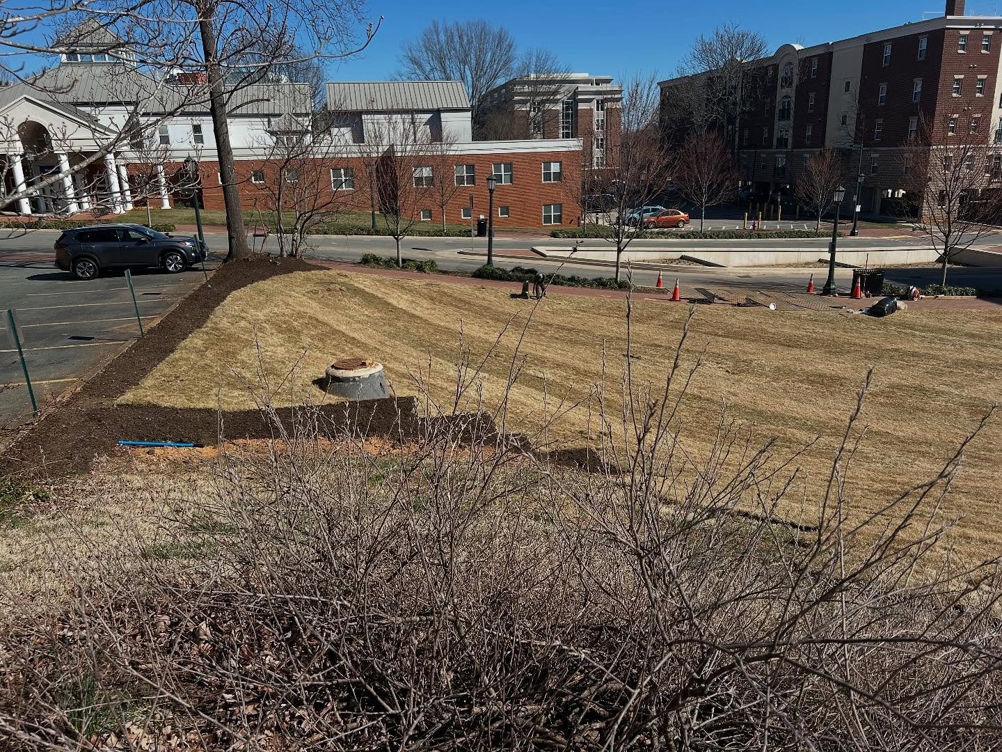 Empty grassy hillside with a tree stump, surrounded by bare bushes, with a parking lot and buildings in the background under a clear blue sky.