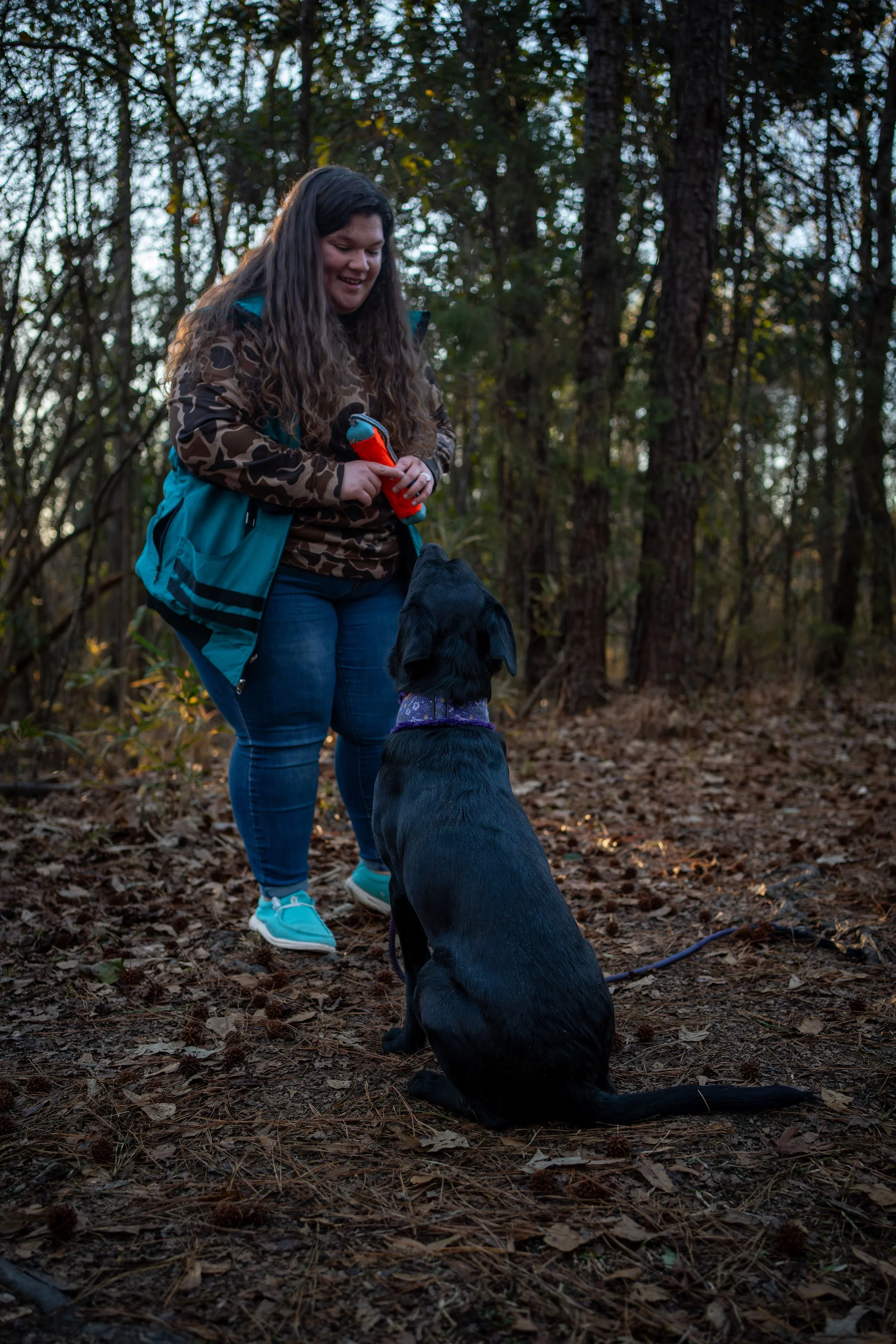 My Dog Training Philosophy: Science, Compassion, and Lasting Behavior Change