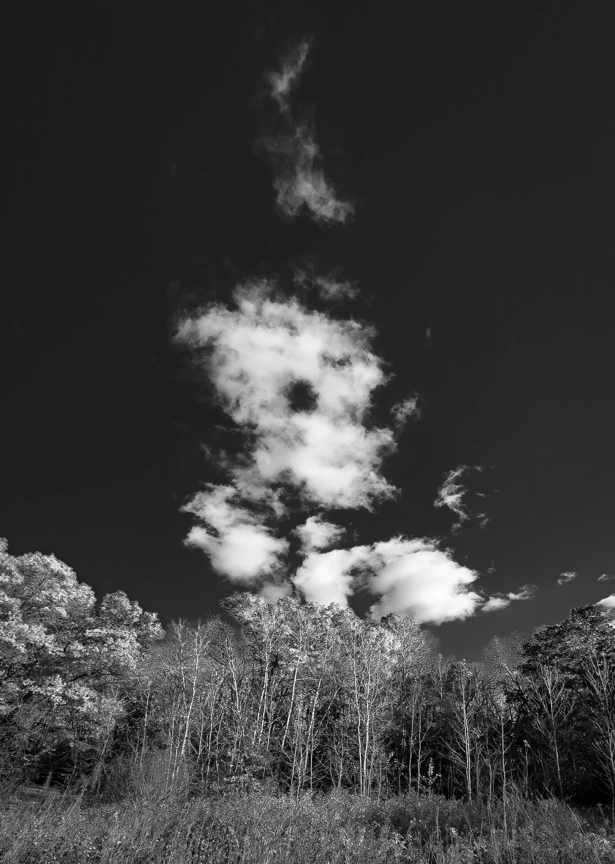 William O'Brien State Park, Minnesota, 2025