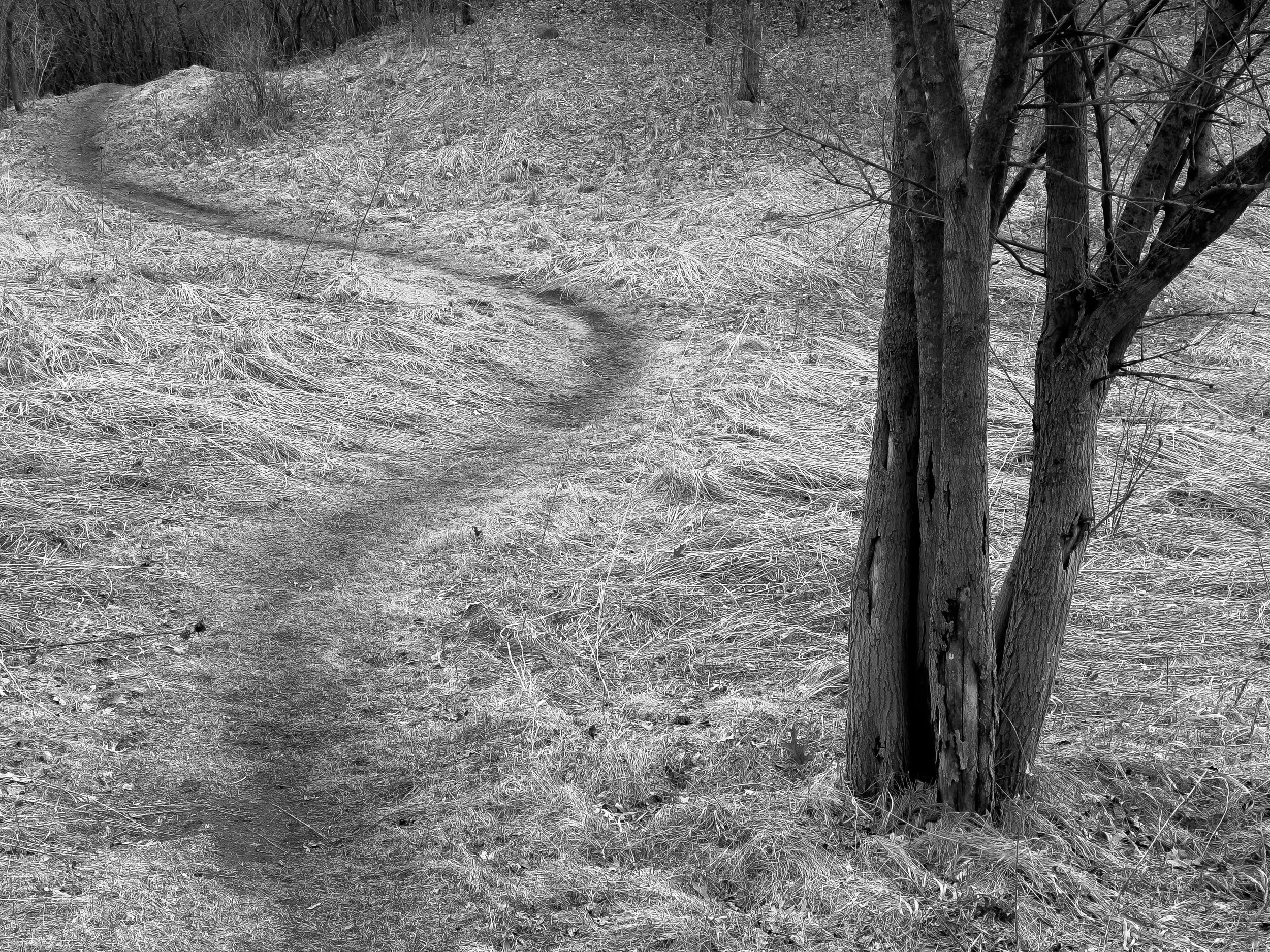 Hiking Trail, Stillwater, Minnesota, 2026
