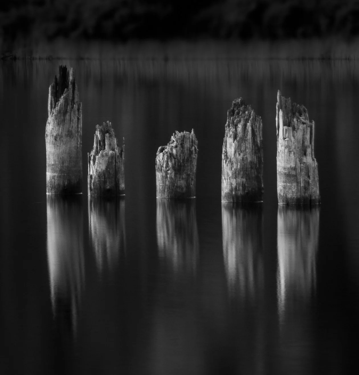 Trestle Pier Remnants, Trestle Pine Lake, northeastern Minnesota, 2026