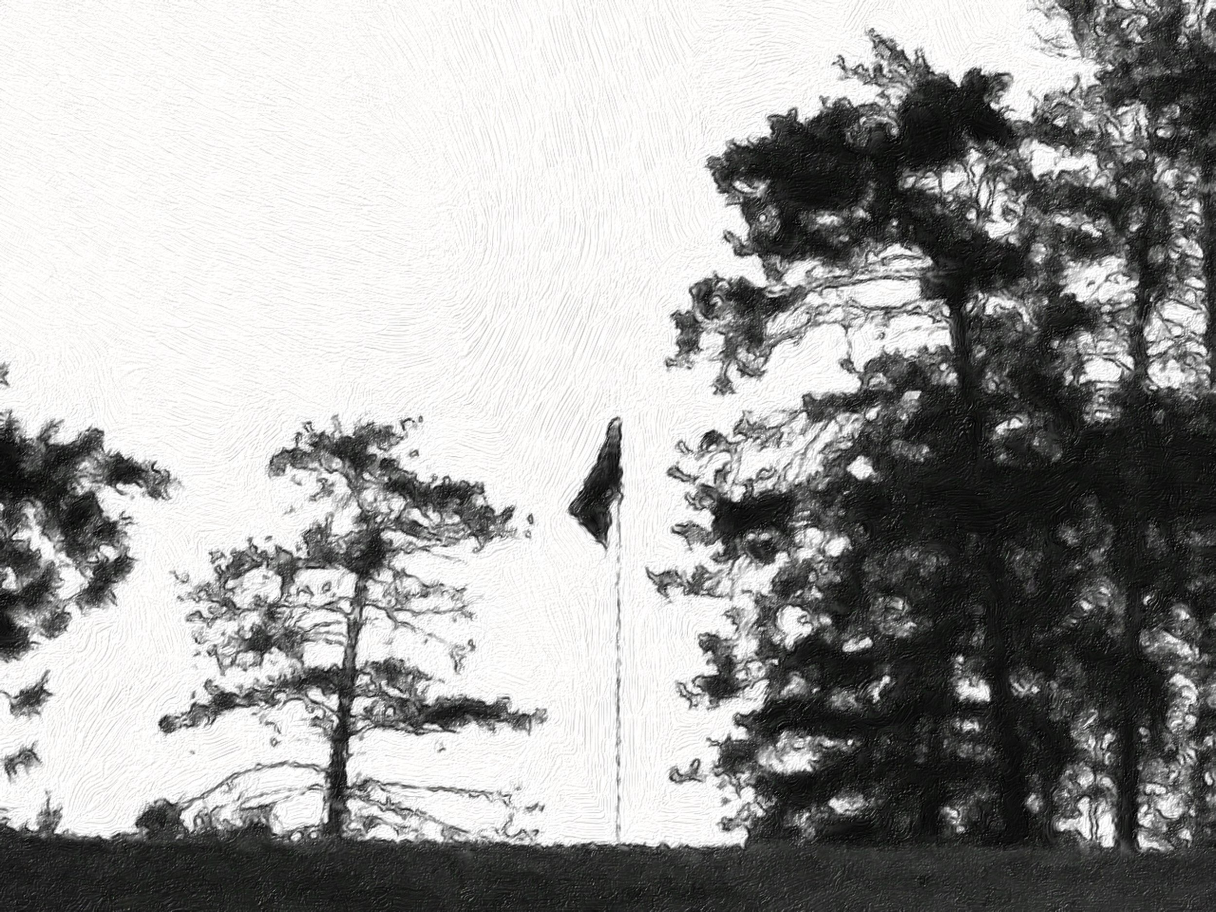52a