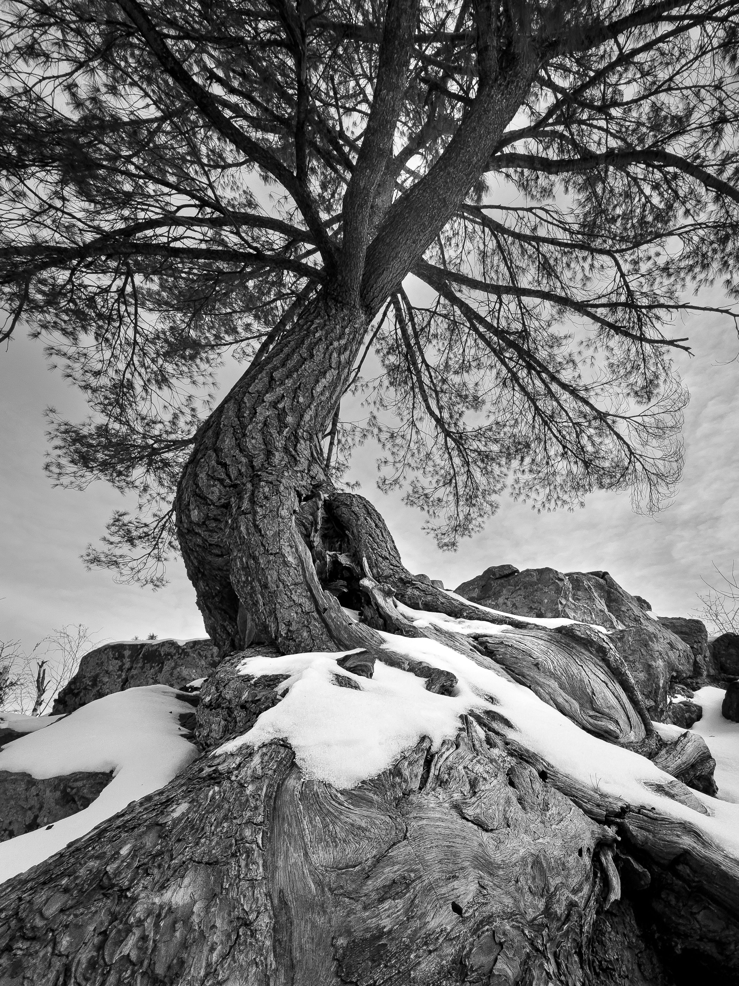 Interstate State Park, Minnesota, 2025