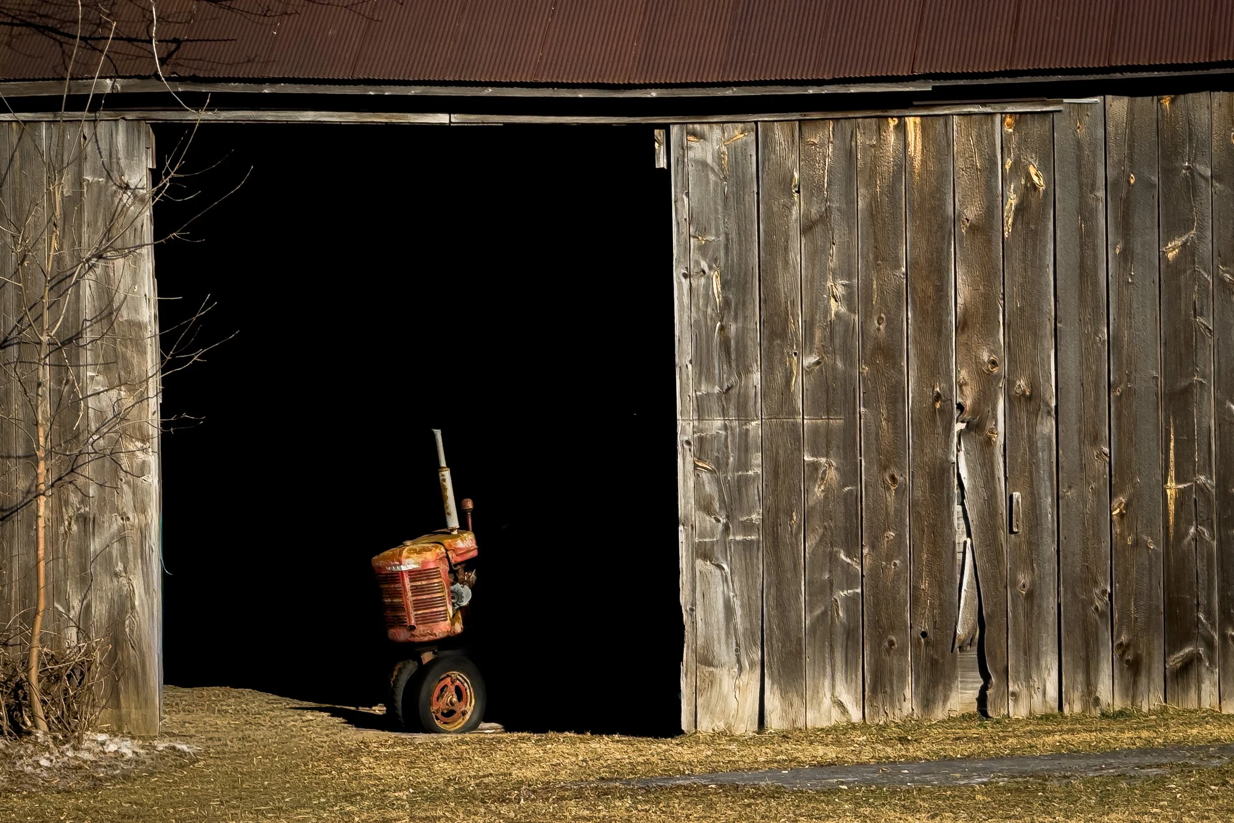 Farmall Tractor, western Wisconsin, 2025