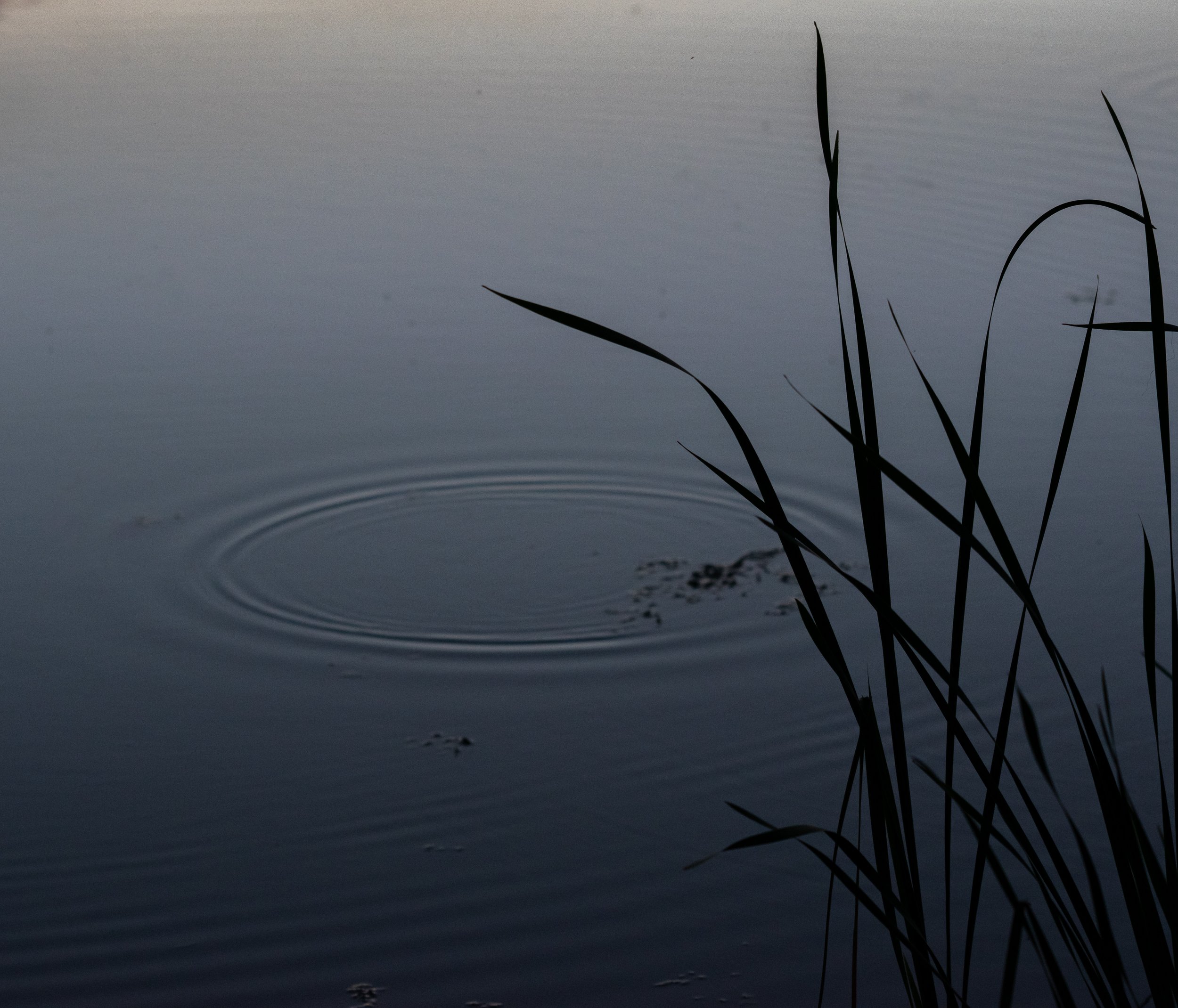 Lake Elmo Park Reserve, Lake Elmo, Minnesota, 2026