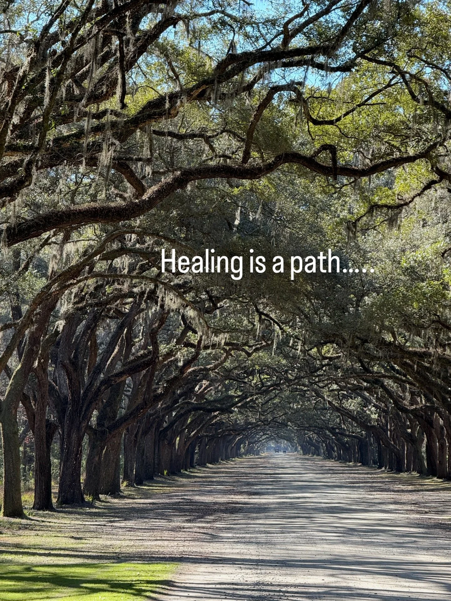 Healing is a path, not a push 🌿
You&rsquo;re guided, supported, and never rushed.
Allow the energy to lead the way.

✨ Distant energy healing available
💫 Kermode Rose Holistics
