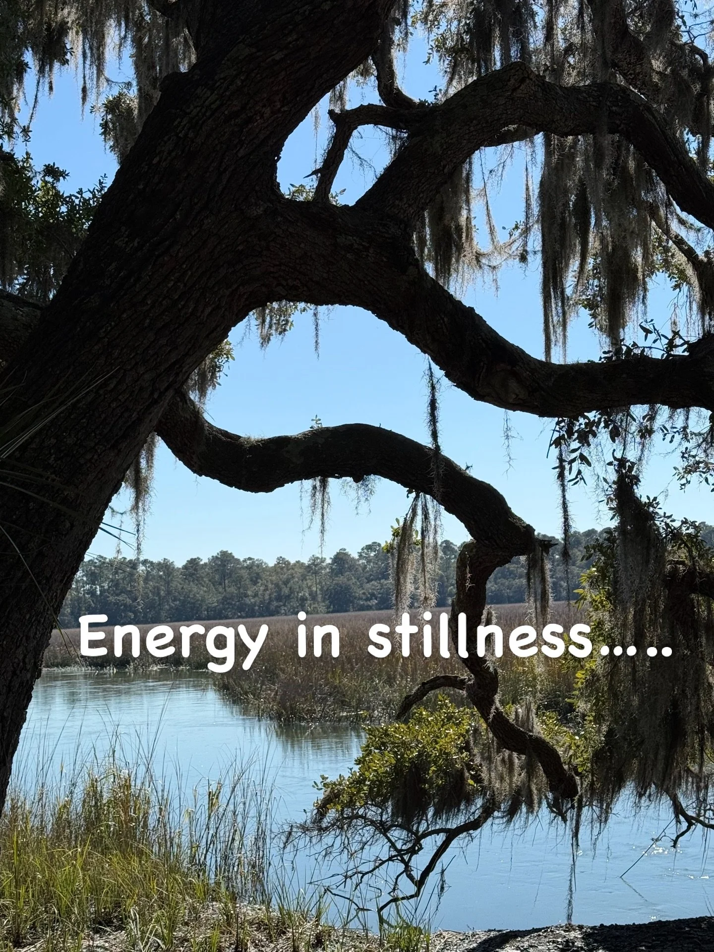 &ldquo;Like the Spanish moss clinging to the ancient oak, let your healing be a gentle unfolding. You do not need to force the flow; simply root yourself in the present, clear the static, and allow the natural currents of the earth to restore your sp